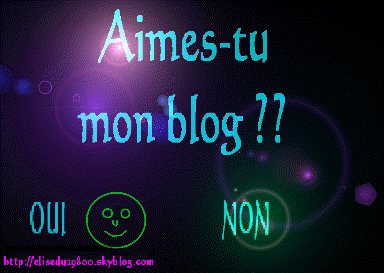 babagana02.vip-blog.com